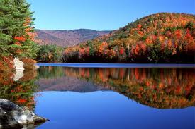 america 4 1 33329942