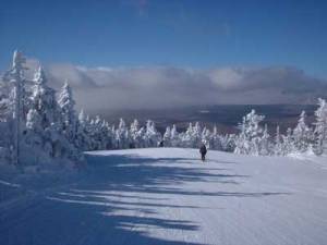 america 4 2 33329945